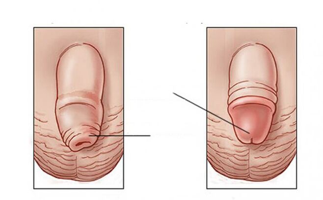 Que tarefa do lubricante