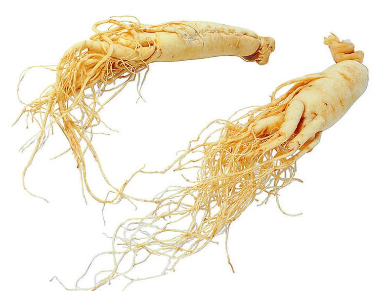 Raíz de ginseng para potenciar